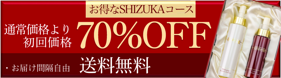 2点セット シズカニューヨーク化粧品